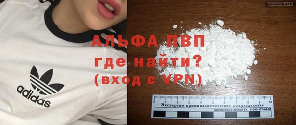 амф Арсеньев