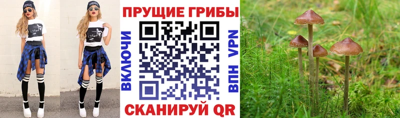 Галлюциногенные грибы мухоморы Олонец